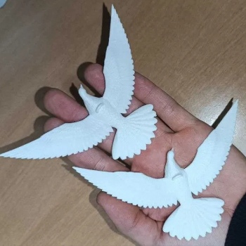 Пара горлиць із фільму Один вдома (голуби)